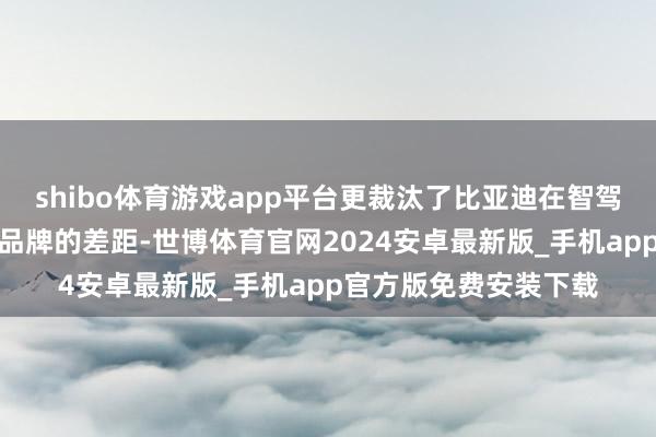 shibo体育游戏app平台更裁汰了比亚迪在智驾这一块与其他新势力品牌的差距-世博体育官网2024安卓最新版_手机app官方版免费安装下载