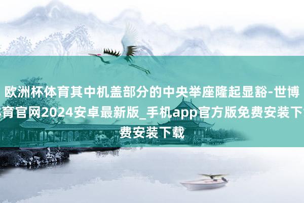 欧洲杯体育其中机盖部分的中央举座隆起显豁-世博体育官网2024安卓最新版_手机app官方版免费安装下载