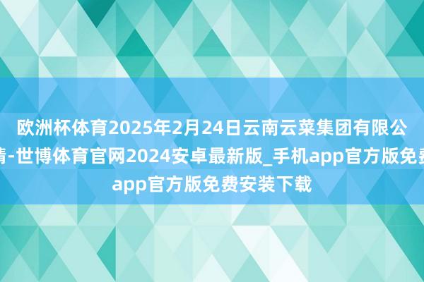 欧洲杯体育2025年2月24日云南云菜集团有限公司价钱行情-世博体育官网2024安卓最新版_手机app官方版免费安装下载