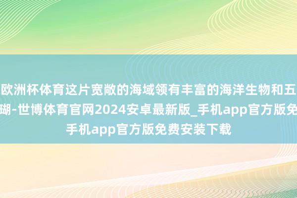 欧洲杯体育这片宽敞的海域领有丰富的海洋生物和五彩斑斓的珊瑚-世博体育官网2024安卓最新版_手机app官方版免费安装下载