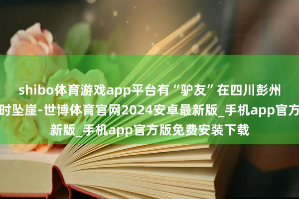 shibo体育游戏app平台有“驴友”在四川彭州境内九峰山登山时坠崖-世博体育官网2024安卓最新版_手机app官方版免费安装下载