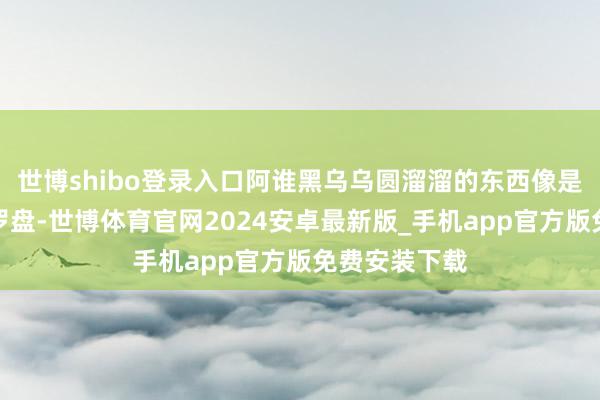 世博shibo登录入口阿谁黑乌乌圆溜溜的东西像是看风水用的罗盘-世博体育官网2024安卓最新版_手机app官方版免费安装下载