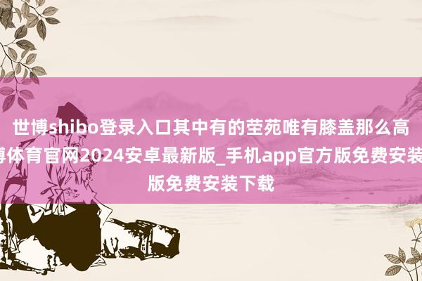 世博shibo登录入口其中有的茔苑唯有膝盖那么高-世博体育官网2024安卓最新版_手机app官方版免费安装下载