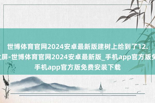 世博体育官网2024安卓最新版建树上给到了12.8英寸中控大屏-世博体育官网2024安卓最新版_手机app官方版免费安装下载