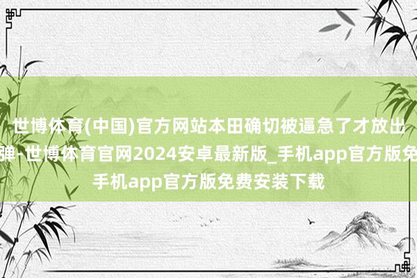 世博体育(中国)官方网站本田确切被逼急了才放出雅阁这个核弹-世博体育官网2024安卓最新版_手机app官方版免费安装下载