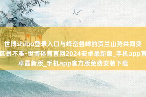 世博shibo登录入口与峰峦叠嶂的贺兰山势共同变成了恢弘壮丽的陵区景不雅-世博体育官网2024安卓最新版_手机app官方版免费安装下载