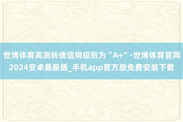 世博体育高测转债信用级别为“A+”-世博体育官网2024安卓最新版_手机app官方版免费安装下载