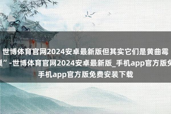 世博体育官网2024安卓最新版但其实它们是黄曲霉毒素的“老巢”-世博体育官网2024安卓最新版_手机app官方版免费安装下载