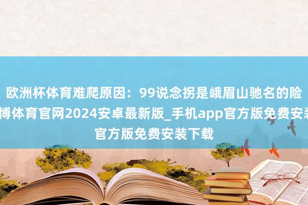 欧洲杯体育难爬原因：99说念拐是峨眉山驰名的险坡-世博体育官网2024安卓最新版_手机app官方版免费安装下载