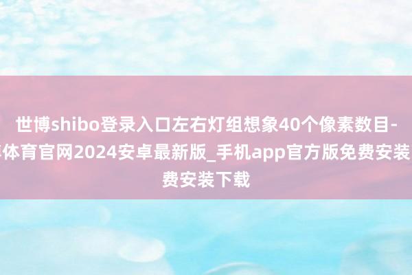 世博shibo登录入口左右灯组想象40个像素数目-世博体育官网2024安卓最新版_手机app官方版免费安装下载