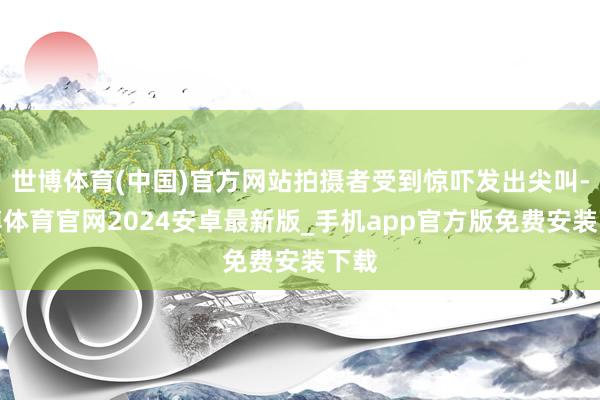 世博体育(中国)官方网站拍摄者受到惊吓发出尖叫-世博体育官网2024安卓最新版_手机app官方版免费安装下载