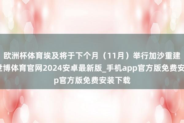 欧洲杯体育埃及将于下个月（11月）举行加沙重建会议-世博体育官网2024安卓最新版_手机app官方版免费安装下载