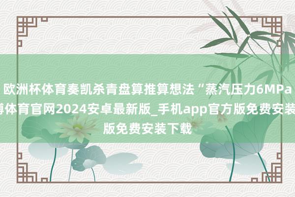 欧洲杯体育奏凯杀青盘算推算想法“蒸汽压力6MPa-世博体育官网2024安卓最新版_手机app官方版免费安装下载