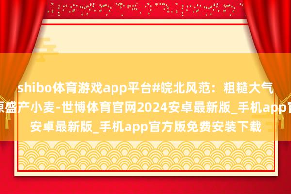 shibo体育游戏app平台#皖北风范：粗糙大气的面食世界皖北平原盛产小麦-世博体育官网2024安卓最新版_手机app官方版免费安装下载