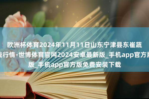 欧洲杯体育2024年11月11日山东宁津县东崔蔬菜批发阛阓价钱行情-世博体育官网2024安卓最新版_手机app官方版免费安装下载