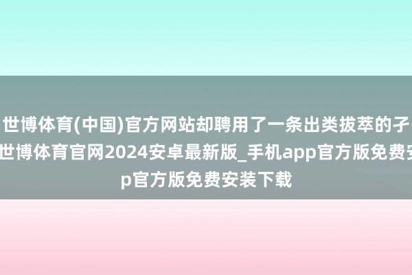 世博体育(中国)官方网站却聘用了一条出类拔萃的孑然之路-世博体育官网2024安卓最新版_手机app官方版免费安装下载