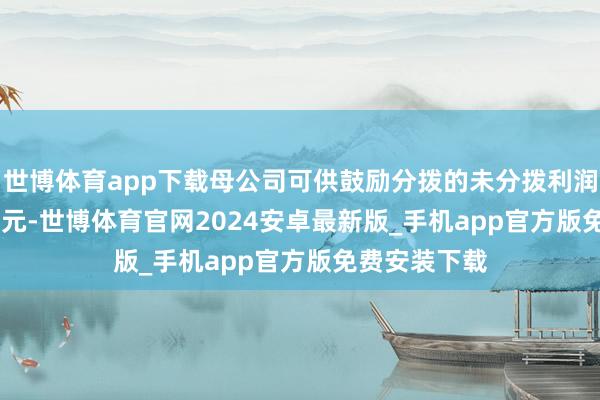 世博体育app下载母公司可供鼓励分拨的未分拨利润为-13.86亿元-世博体育官网2024安卓最新版_手机app官方版免费安装下载