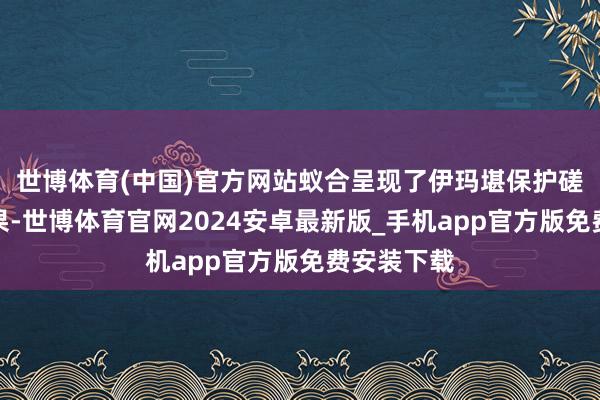 世博体育(中国)官方网站蚁合呈现了伊玛堪保护磋议引申恶果-世博体育官网2024安卓最新版_手机app官方版免费安装下载