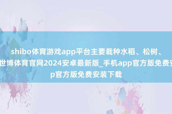 shibo体育游戏app平台主要栽种水稻、松树、杉木等-世博体育官网2024安卓最新版_手机app官方版免费安装下载