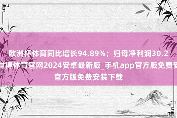 欧洲杯体育同比增长94.89%；归母净利润30.27亿元-世博体育官网2024安卓最新版_手机app官方版免费安装下载