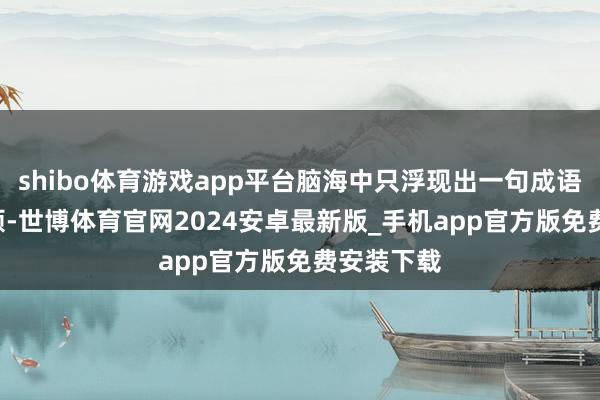 shibo体育游戏app平台脑海中只浮现出一句成语——‘有耐烦-世博体育官网2024安卓最新版_手机app官方版免费安装下载